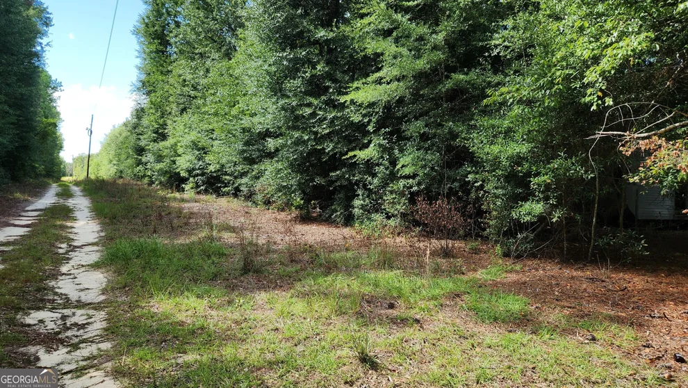 Unit for sale at 0 Martin Way, Waynesboro, GA 30830