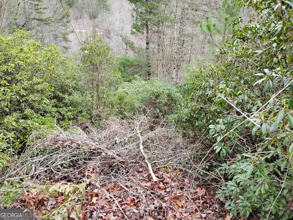 Unit for sale at LT 166 Shenendoa Drive, Ellijay, GA 30540