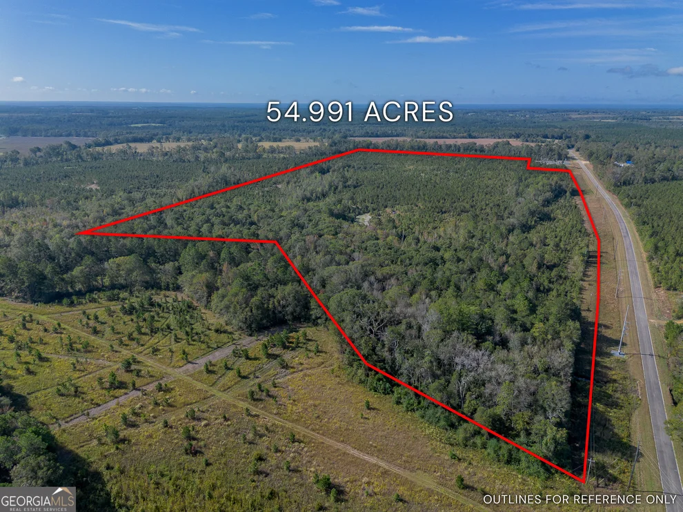 Unit for sale at TRACT 7 Kinnett Road, Jacksonville, GA 31544
