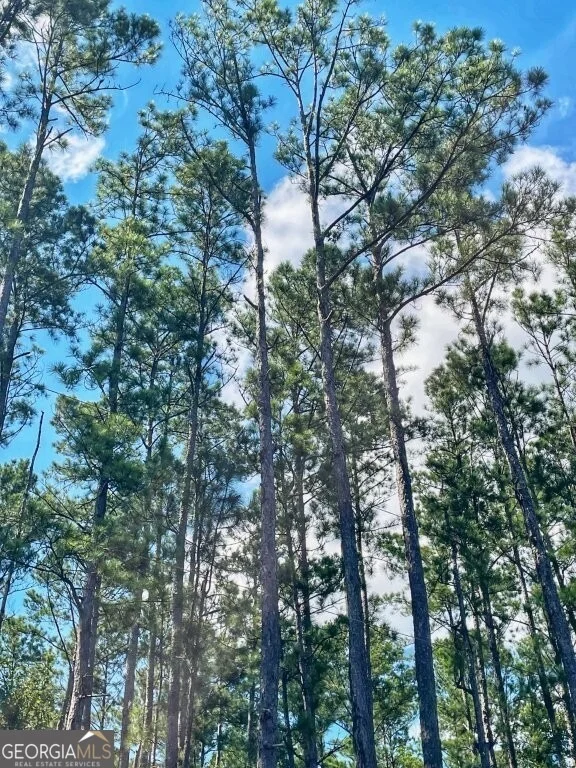 Unit for sale at 0 Incachee Road, Waverly, GA 31565