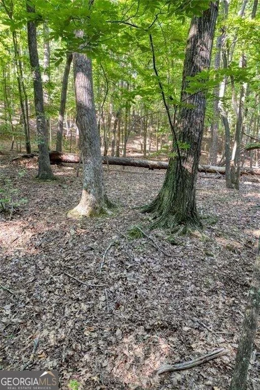 Unit for sale at 90 Cardinal Cove, Big Canoe, GA 30143