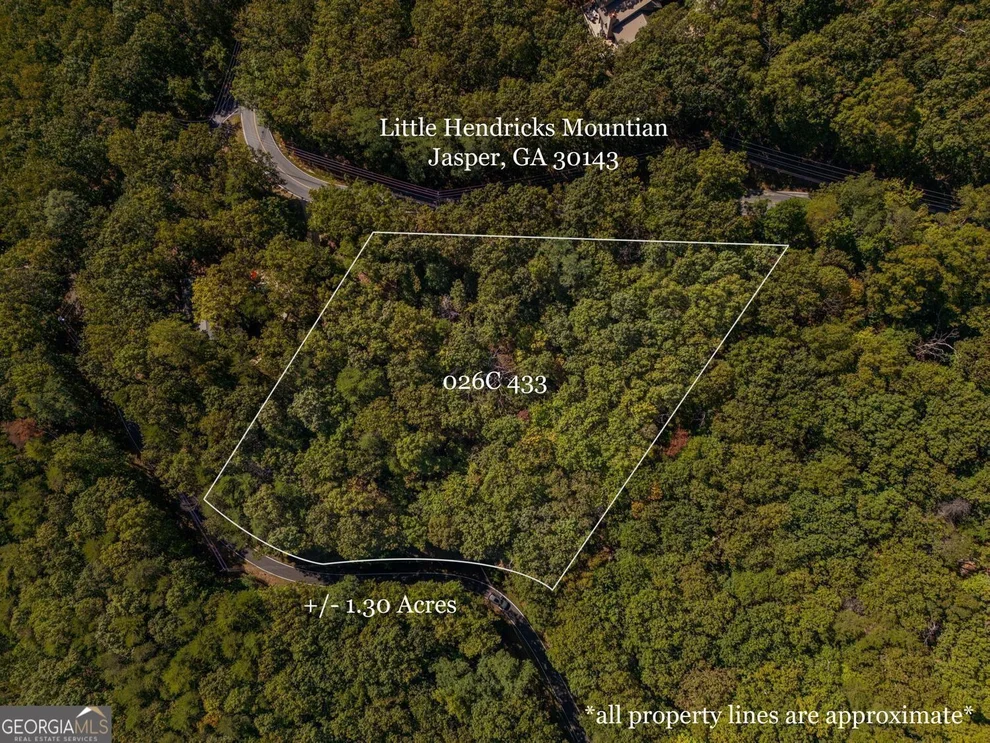 Unit for sale at 0 Little Hendricks Mountain Road, Jasper, GA 30143