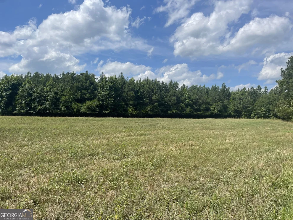 Unit for sale at 0 Cannon Road, Sharpsburg, GA 30277