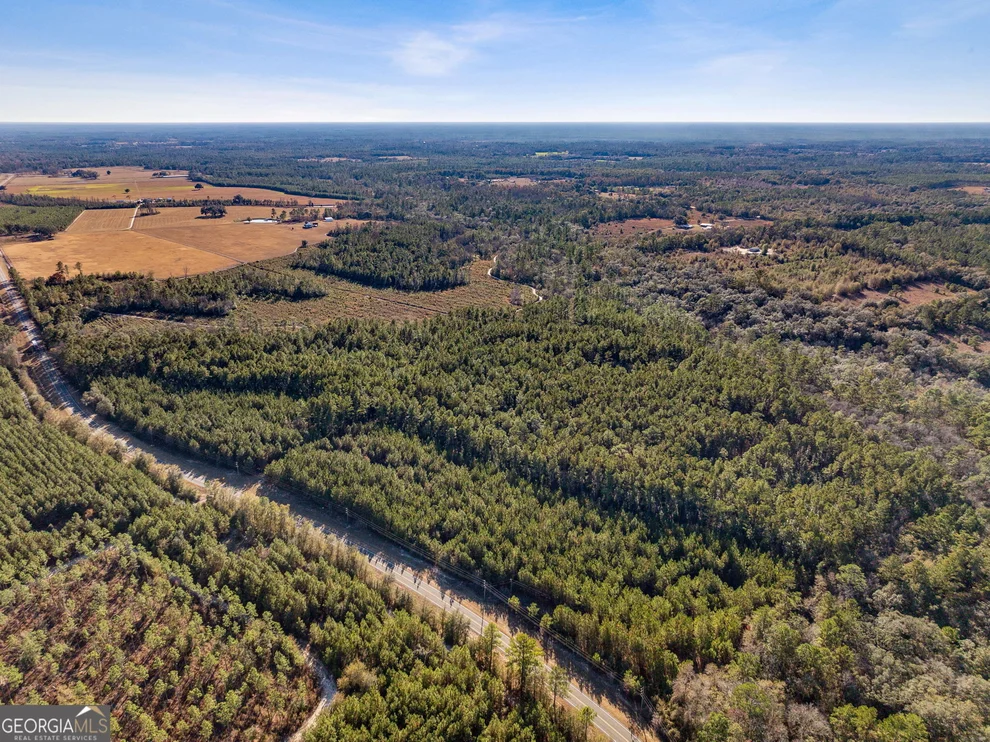 Unit for sale at 0 State Road 185, St. George, GA 31562