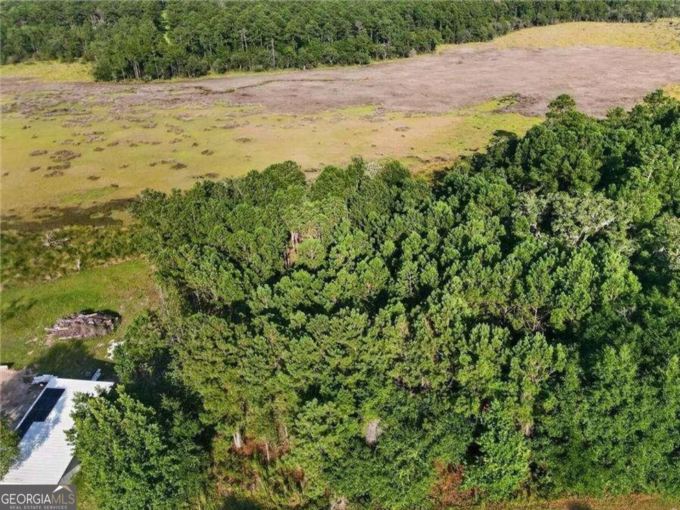 Unit for sale at LOT #23 Barnstorm Road NE, Townsend, GA 31331