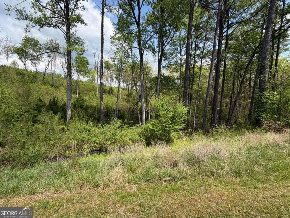 Unit for sale at 238 Lecroy Drive, Ellijay, GA 30540