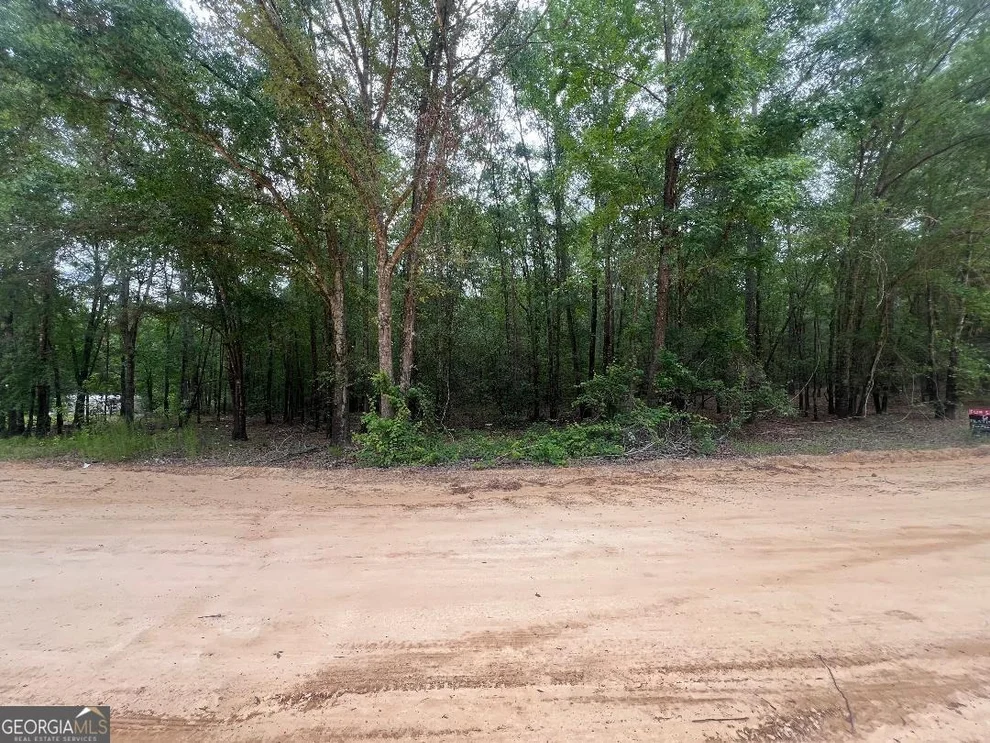 Unit for sale at LOT 26 Lane Road, Statesboro, GA 30461