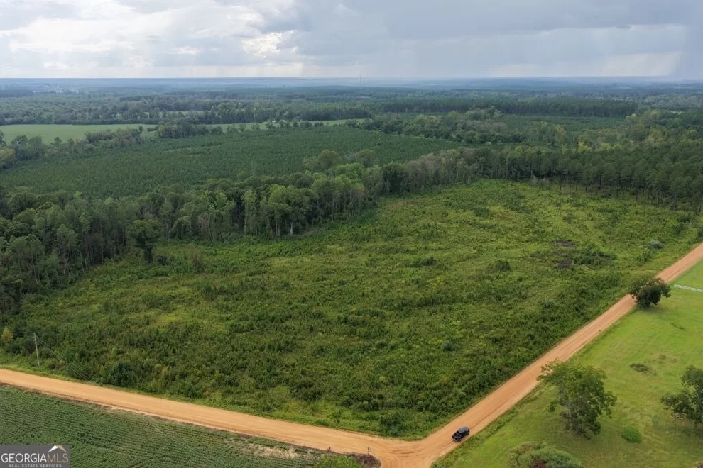 Unit for sale at 0 Watson & Hendricks Roads, Metter, GA 30439