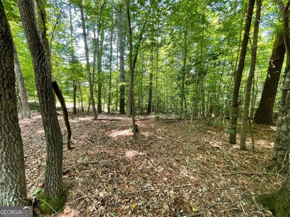 Unit for sale at LOT 2 Mount Pleasant Ridge Road, Blairsville, GA 30512