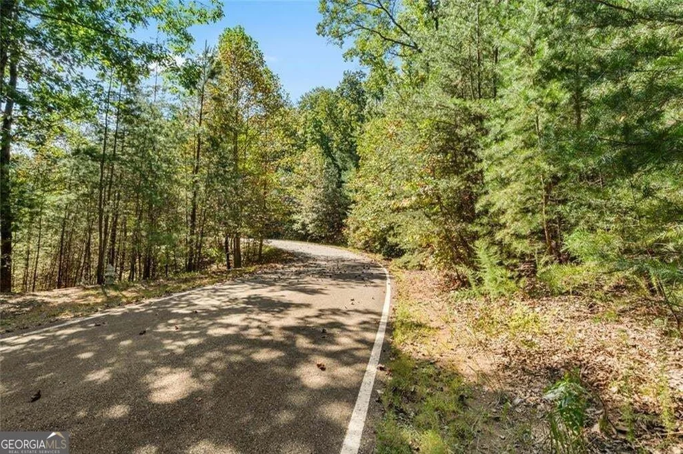 Unit for sale at 288 Blazingstar Trail, Big Canoe, GA 30143