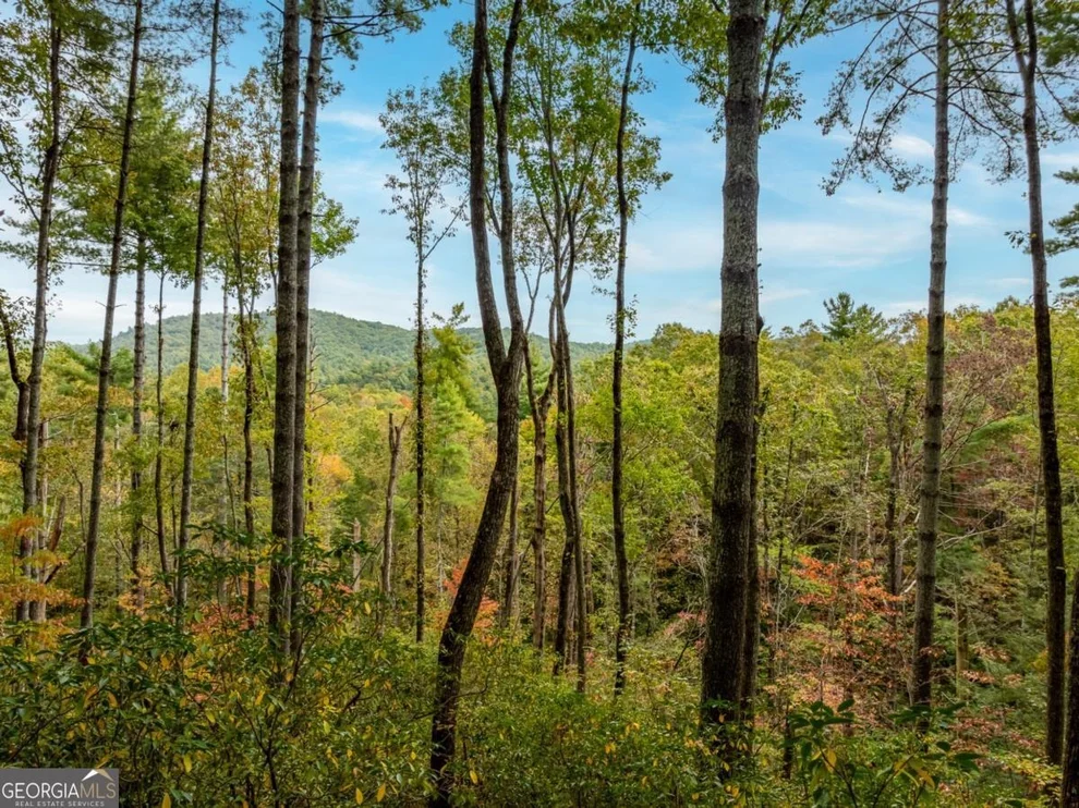 Unit for sale at LOT 1 Chief Whitetails Road, Ellijay, GA 30540