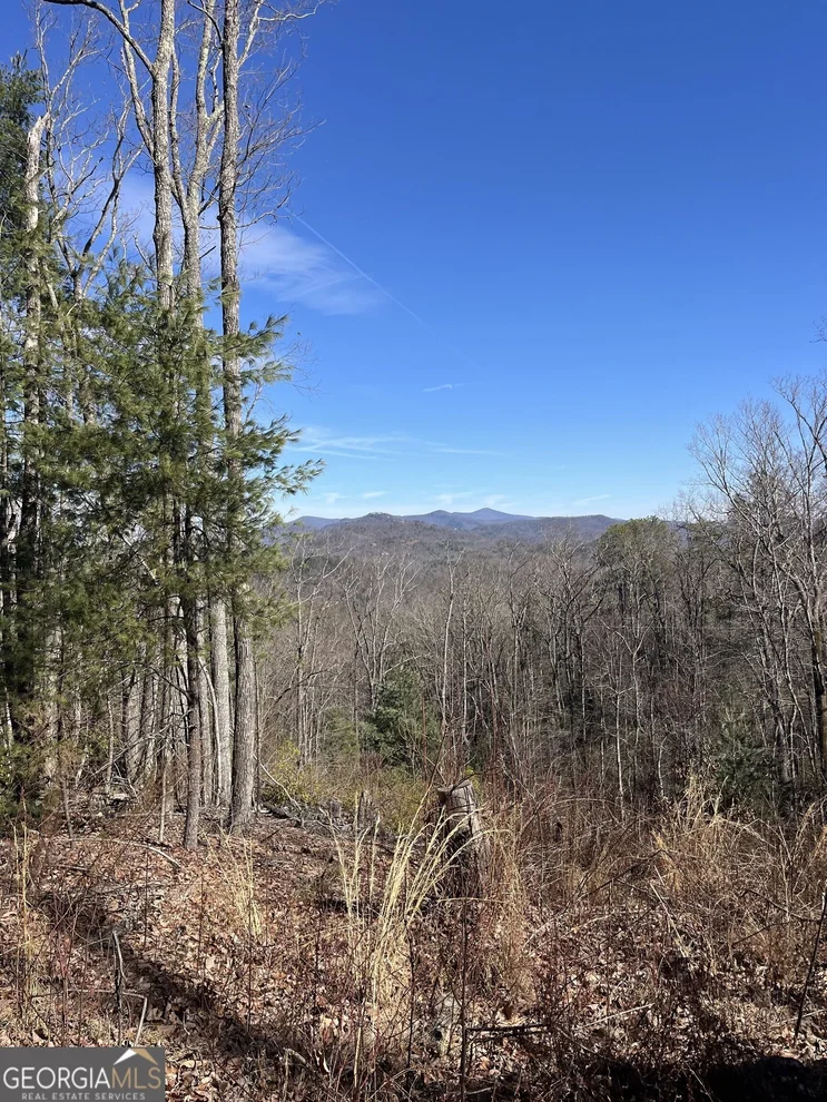 Unit for sale at 0 Eastman MTN Road, Tiger, GA 30576