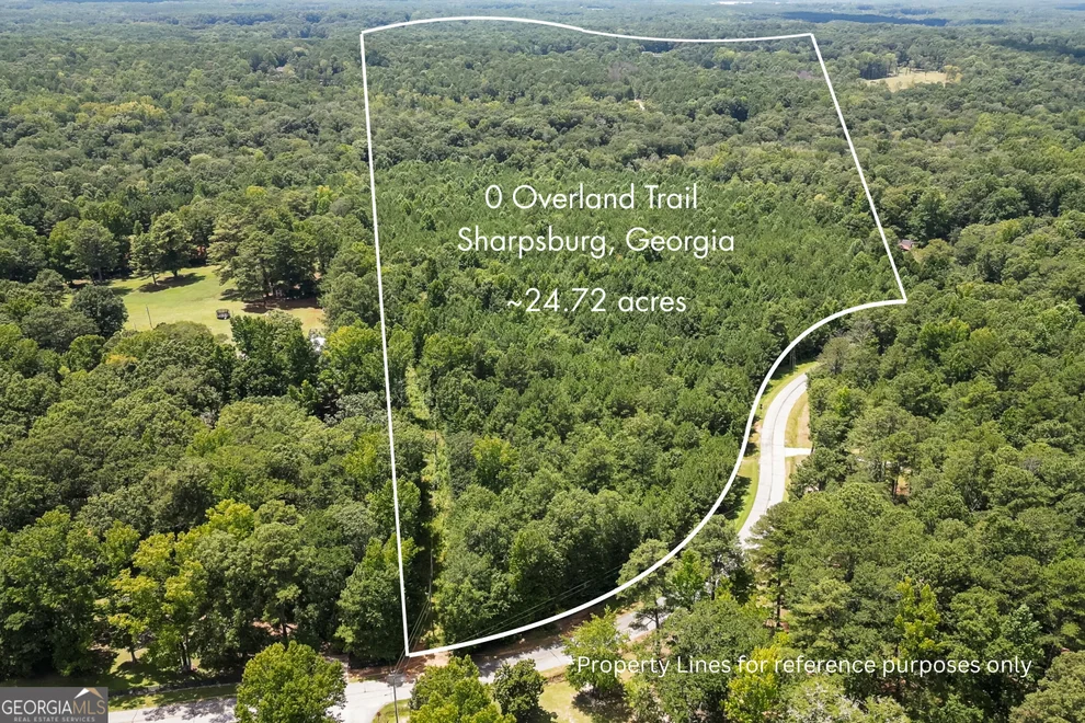 Unit for sale at 0 Overland Trail, Sharpsburg, GA 30277