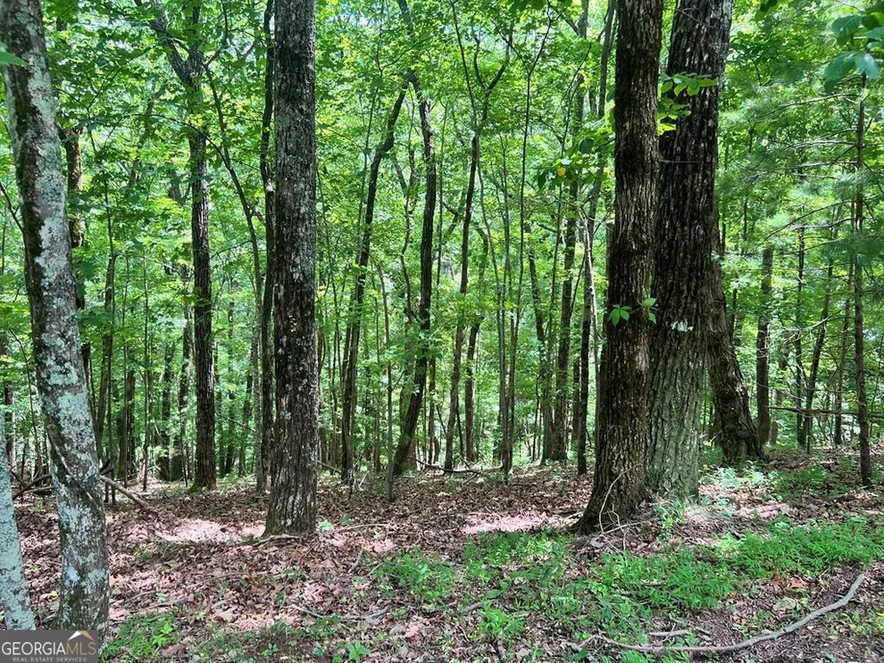 Unit for sale at LT G667-G68 Mountain Oak Road, Ellijay, GA 30536