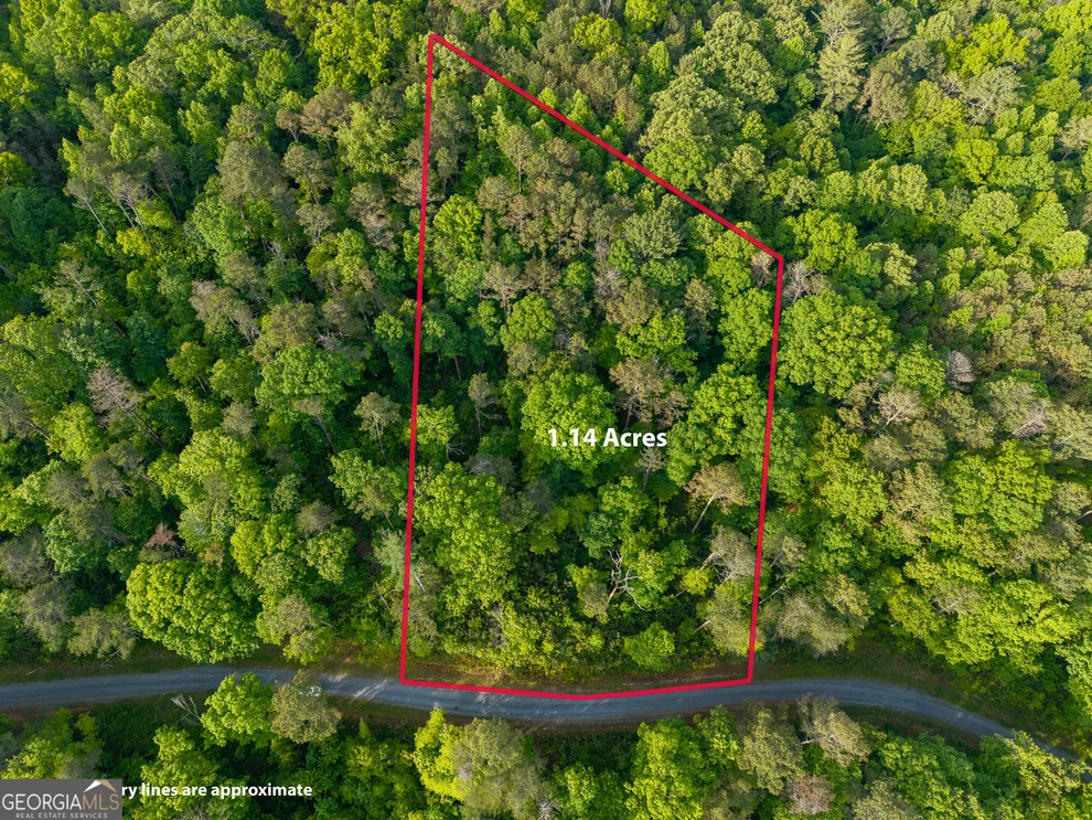 Unit for sale at LOT 45 Hilton Drive, Ellijay, GA 30540