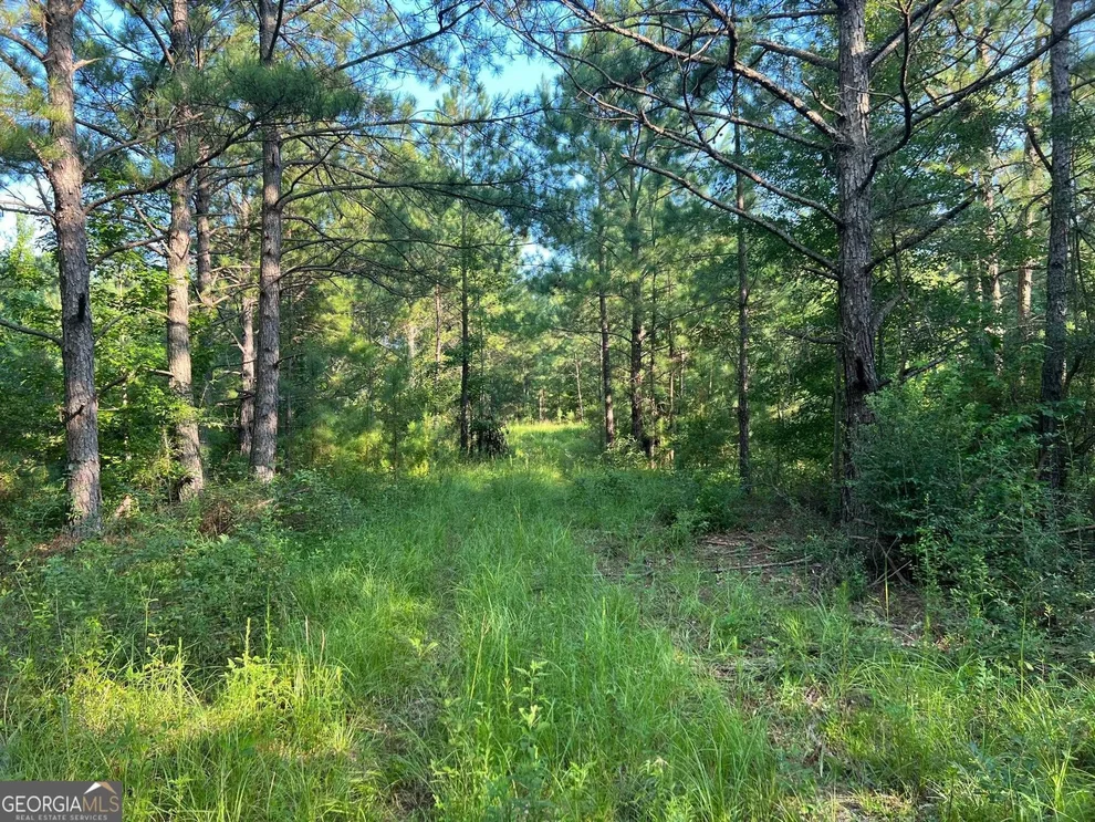 Unit for sale at 0 53 Highway, Clayton, AL 36016