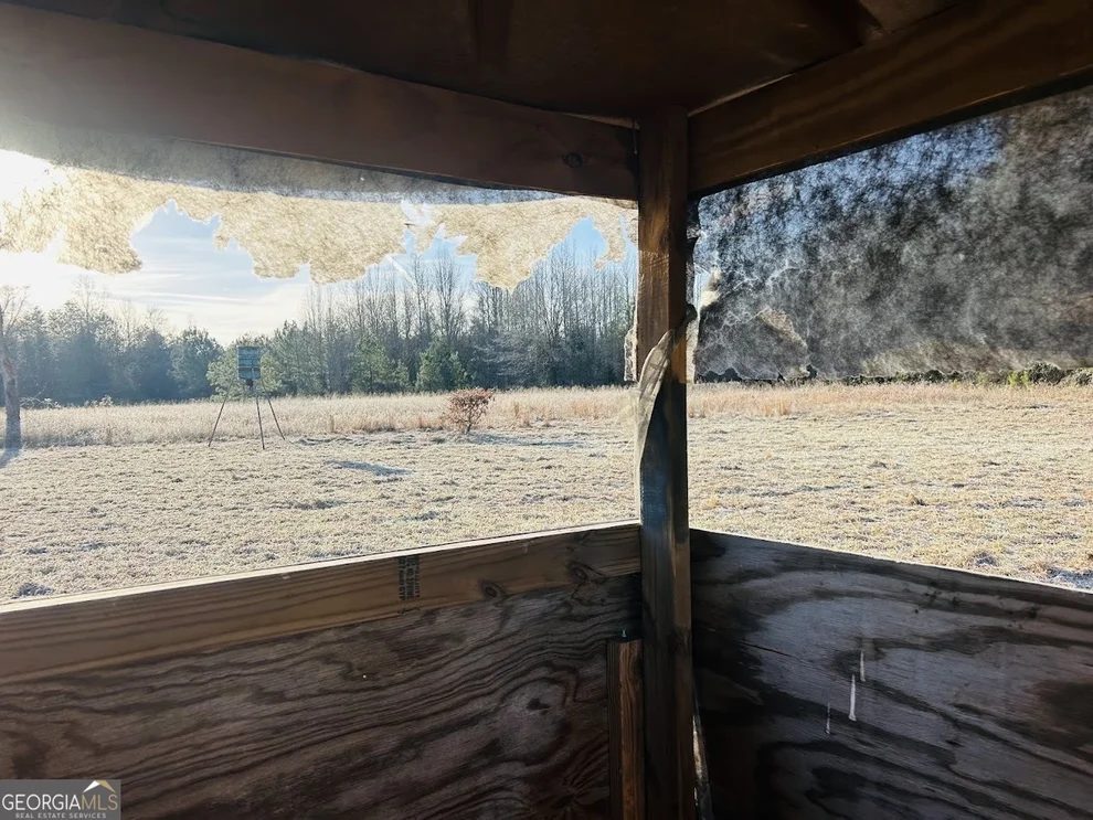 Unit for sale at 0 Bickley Road, Butler, GA 31006