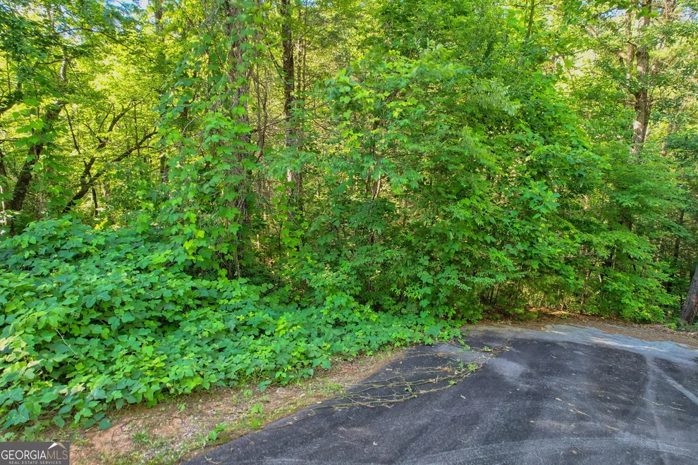 Unit for sale at LOT 112 Timber Creek Drive, Clayton, GA 30525