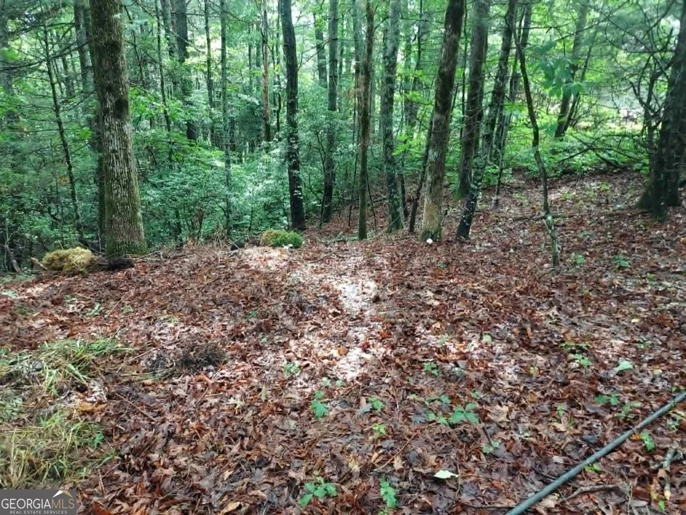 Unit for sale at 0 LOT 3 Jiminy Peak, Sky Valley, GA 30537