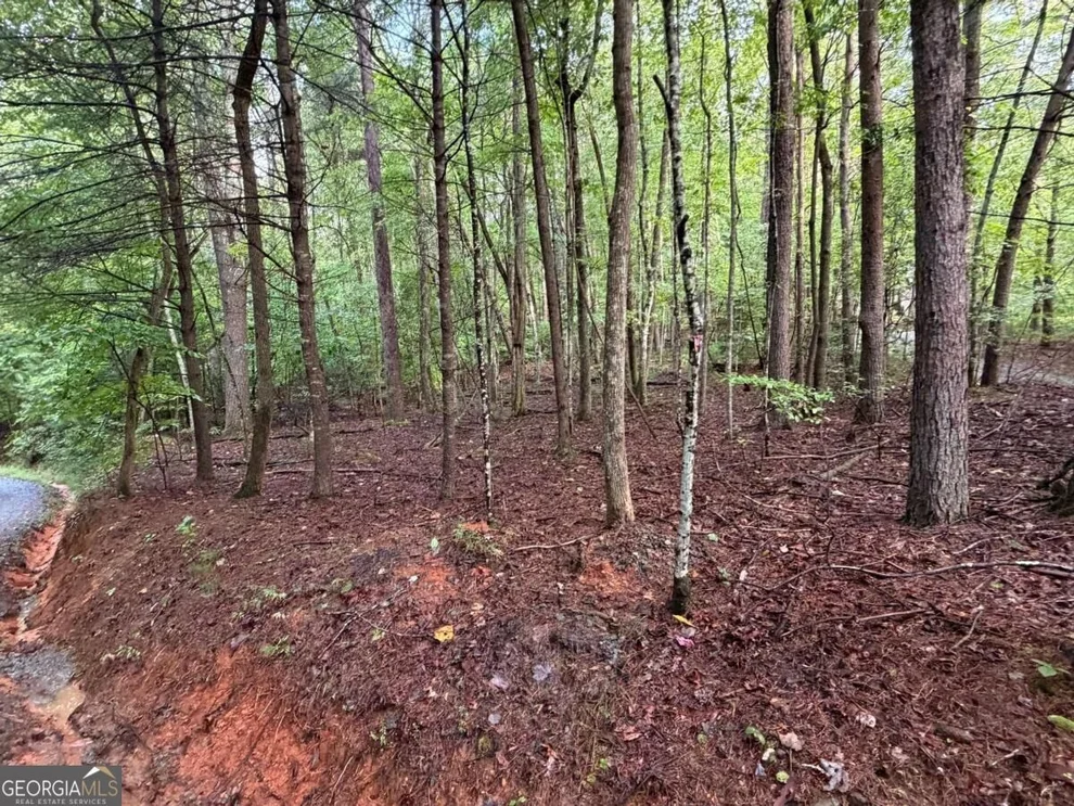 Unit for sale at 0 Peach Lane, Ellijay, GA 30536