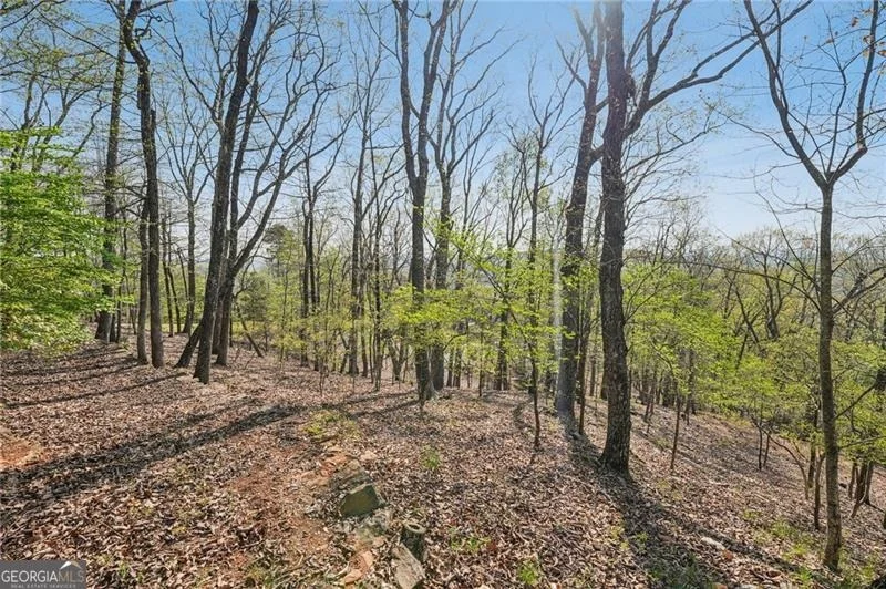 Unit for sale at 8240 Cox Mountain Drive, Big Canoe, GA 30143