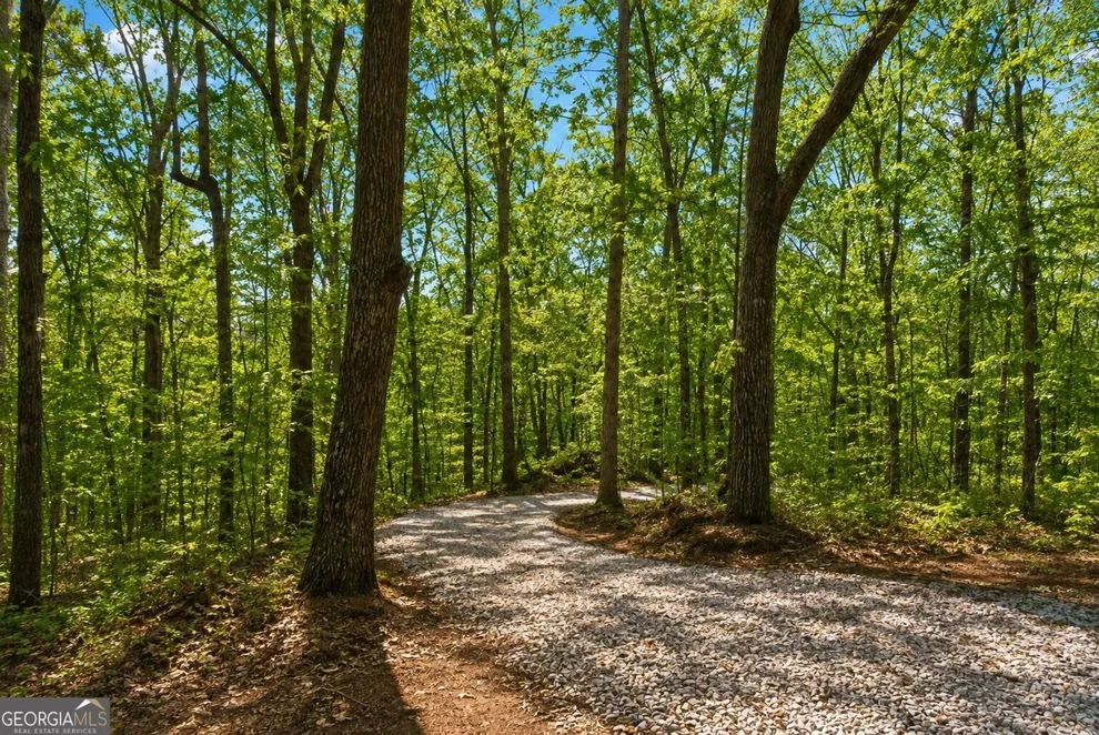Unit for sale at 0 Davis Road, Eastanollee, GA 30538