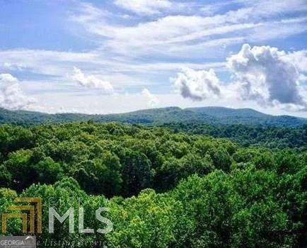 Unit for sale at 0 Brown Mountain Road, Macon, NC 28775