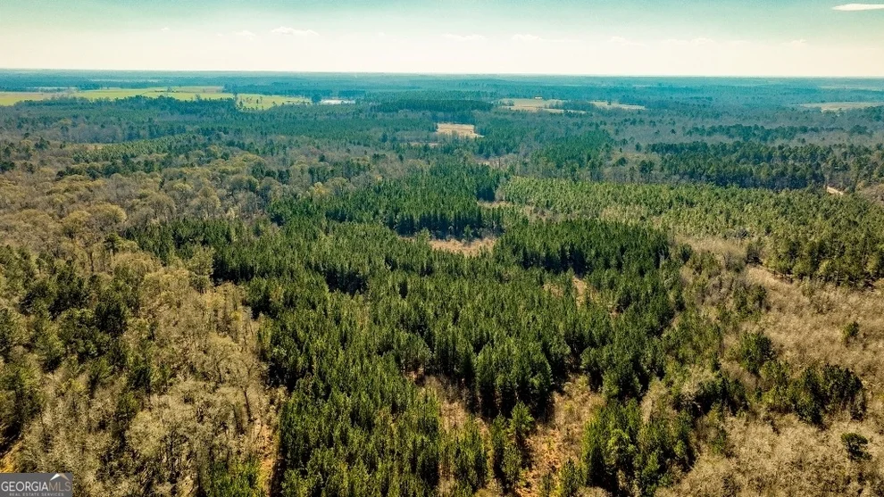 Unit for sale at 0 Crooked Road, Millen, GA 30442
