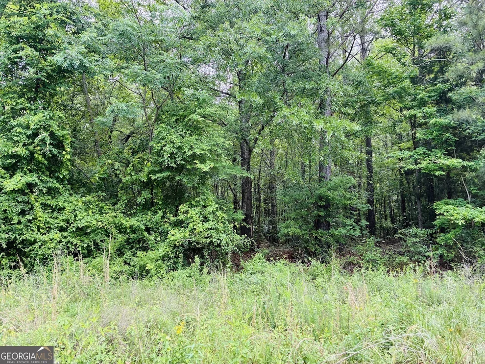 Unit for sale at 0 Lee Lane, Greenville, GA 30222
