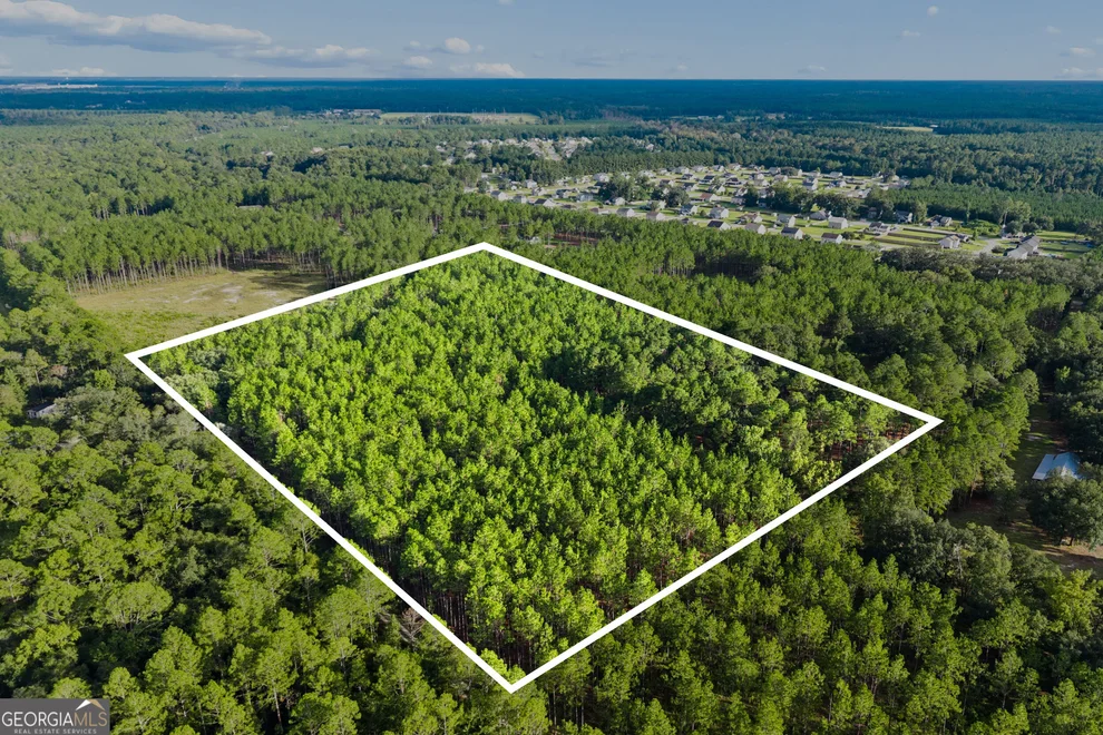 Unit for sale at 0 Bub Lane, Ellabell, GA 31308