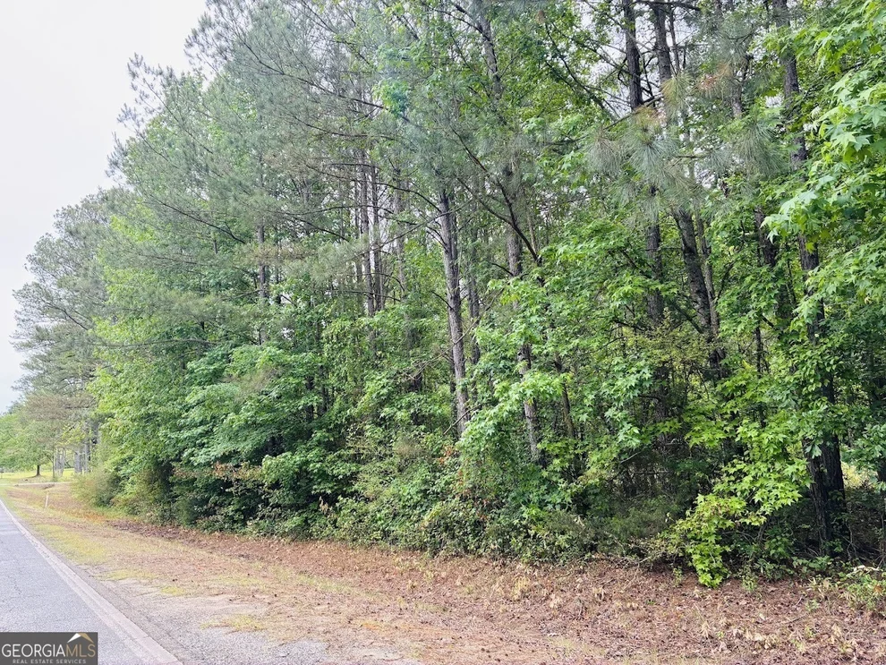 Unit for sale at 0 Lee Lane, Greenville, GA 30222