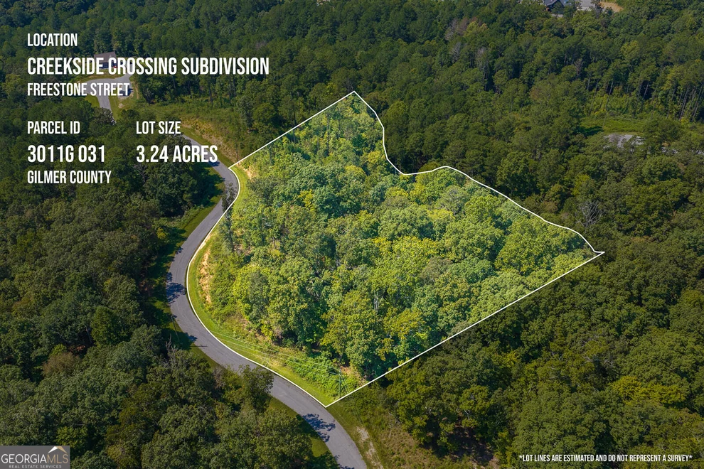 Unit for sale at LOT 31 Freestone Street, Talking Rock, GA 30175