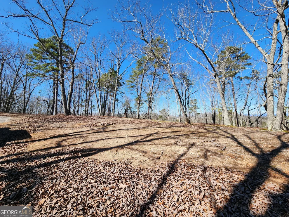 Unit for sale at 0 Nichols Cove Drive, Dawsonville, GA 30534
