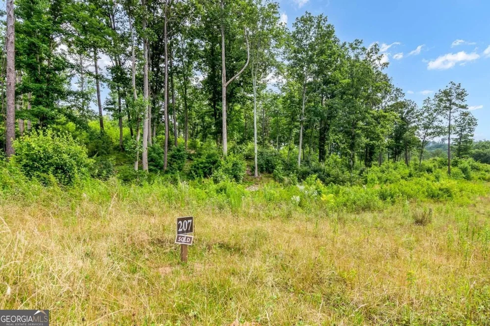 Unit for sale at LOT 207 Oak Park Drive, Talking Rock, GA 30175