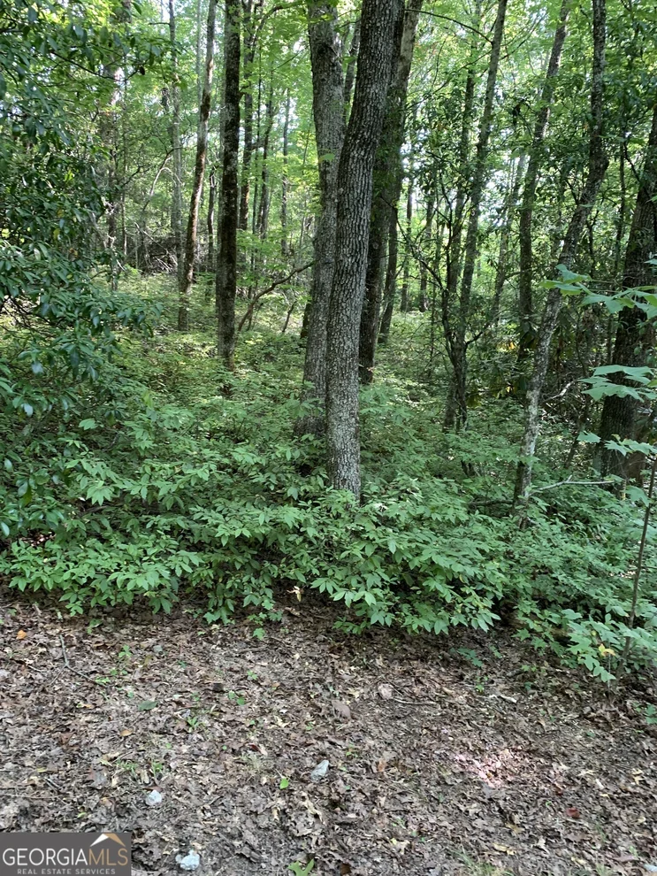 Unit for sale at 0 Maple Leaf Drive, Dillard, GA 30537