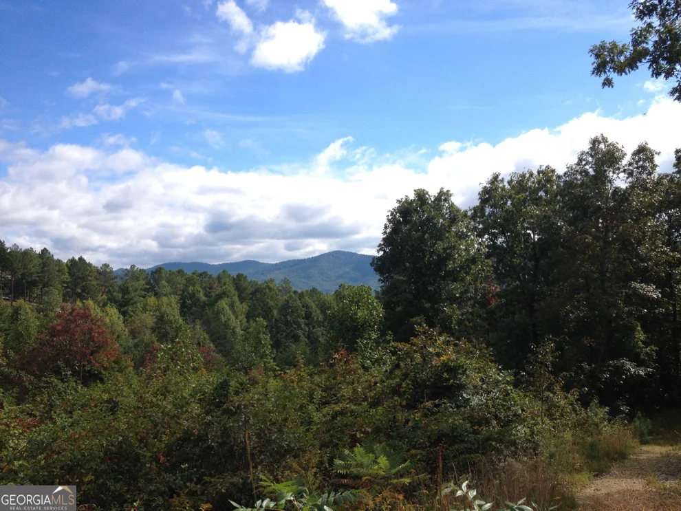 Unit for sale at 0 The Hills Lane, Blairsville, GA 30512