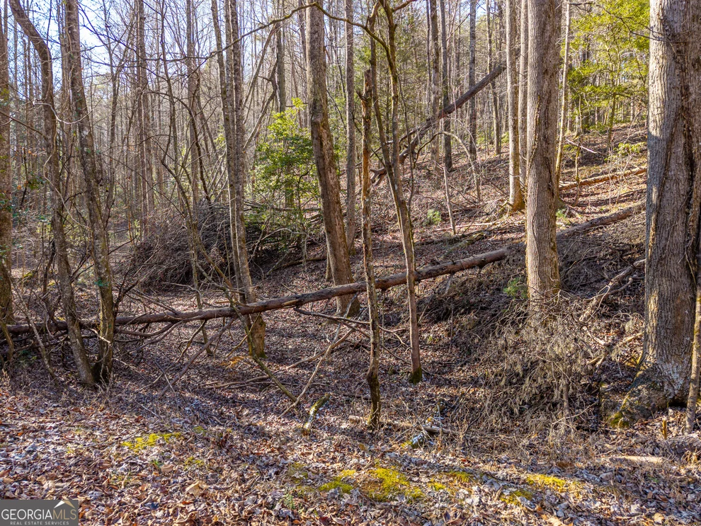 Unit for sale at 0 Satsuma South Court, Ellijay, GA 30540