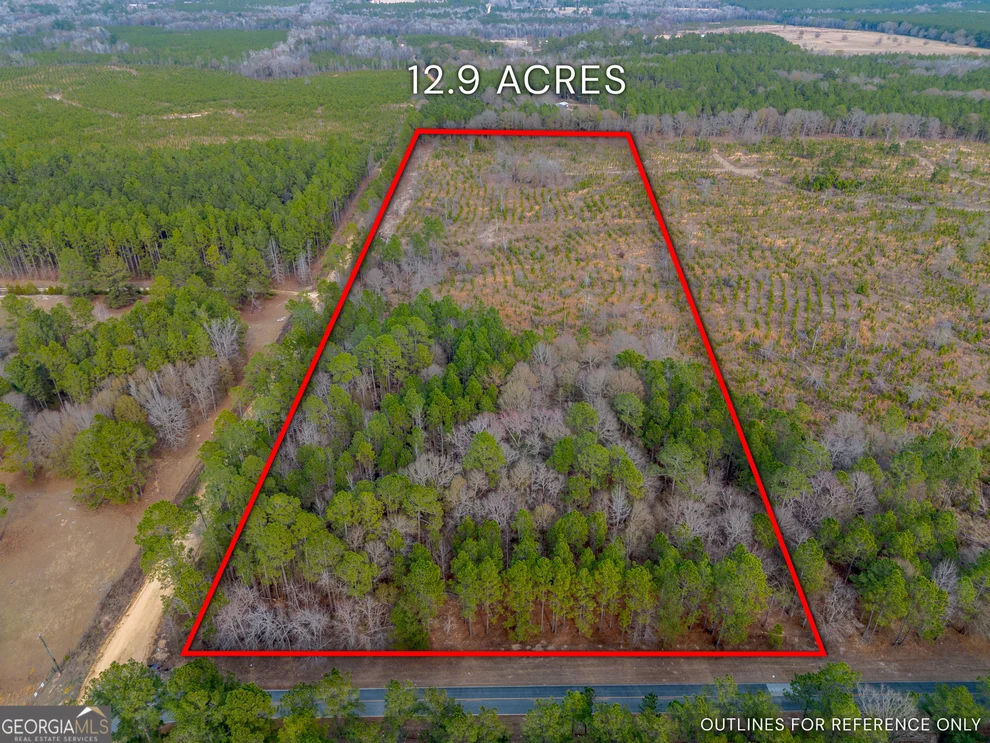 Unit for sale at TRACT 1 Wilson Woodard Road, Eastman, GA 31023