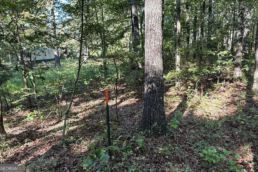 Unit for sale at 0 Turkey Court, Waco, GA 30182