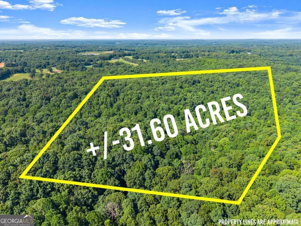 Unit for sale at 0 Prospect Road, Carnesville, GA 30521