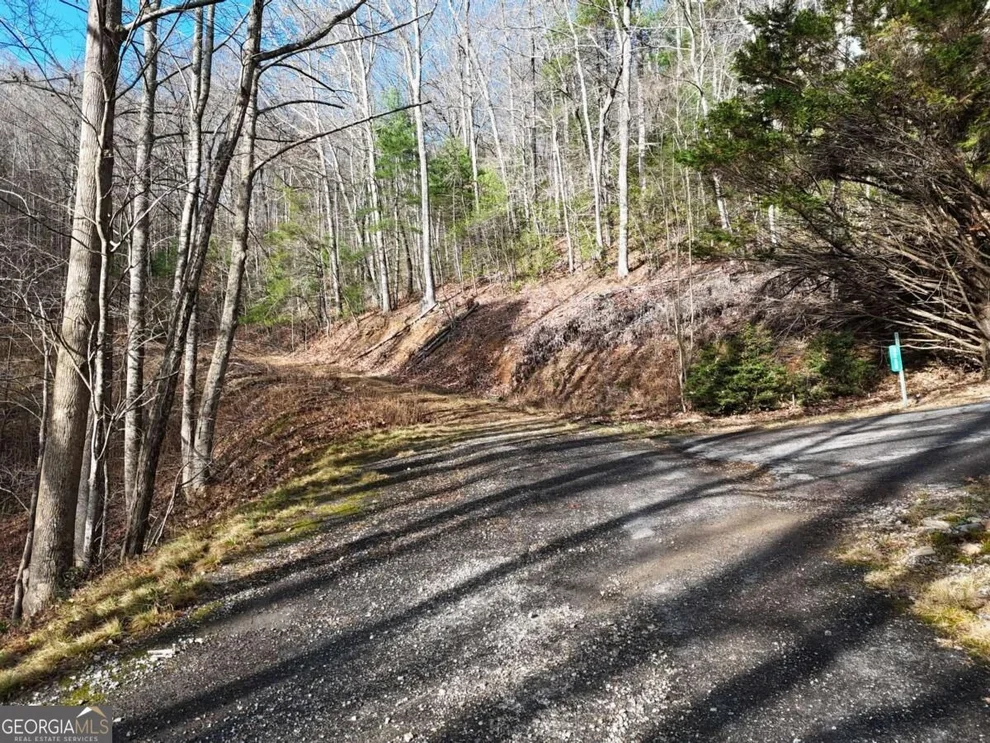 Unit for sale at LT-A14 Park Hill Avenue, Blairsville, GA 30512