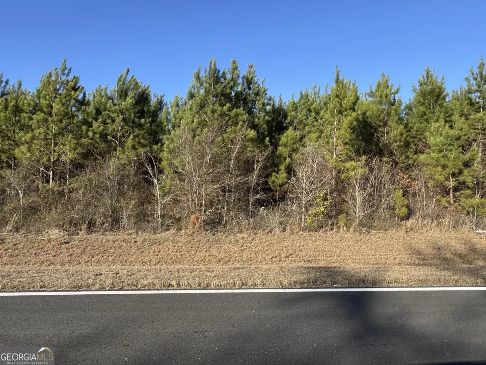 Unit for sale at LOT 1A Whitfield Road, Elko, GA 31025