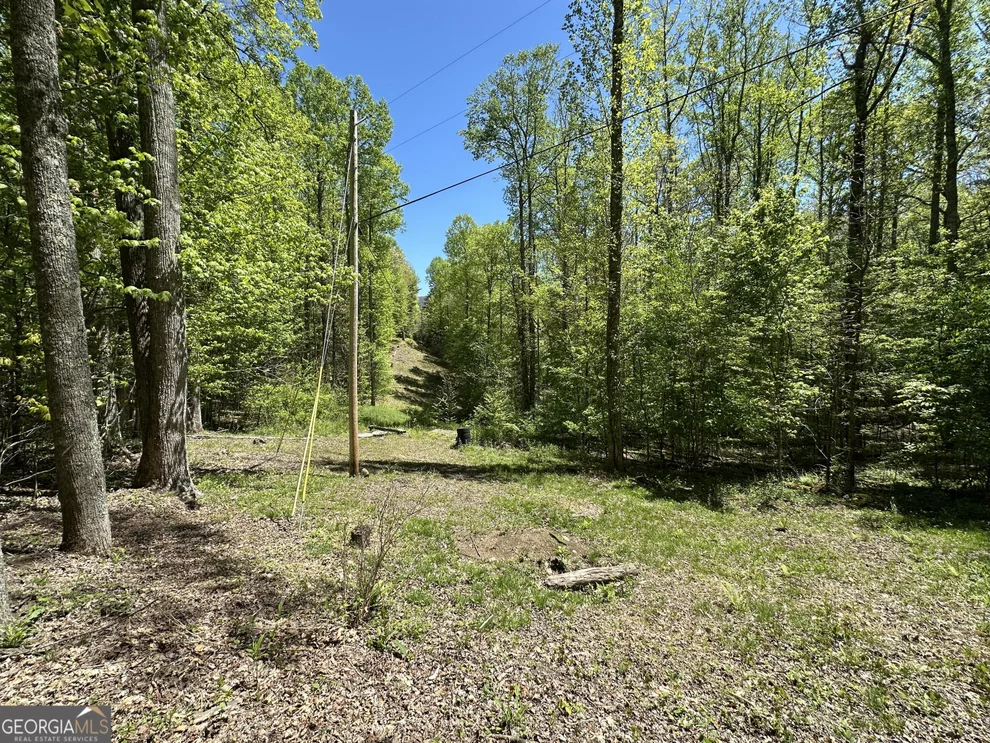 Unit for sale at 0 Buck Knob Road, Scaly Mountain, NC 28775