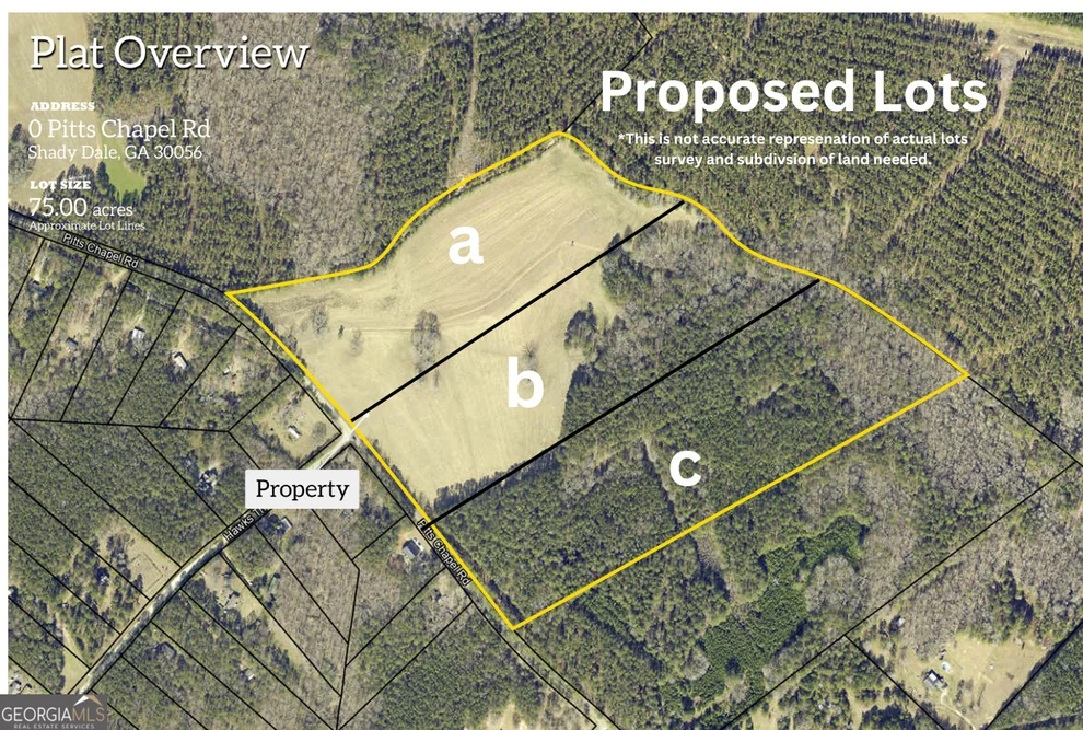 Unit for sale at 0 LOT B Pitts Chapel Road, Monticello, GA 31064