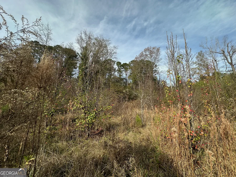 Unit for sale at 567 George W Towns Road, Talbotton, GA 31827