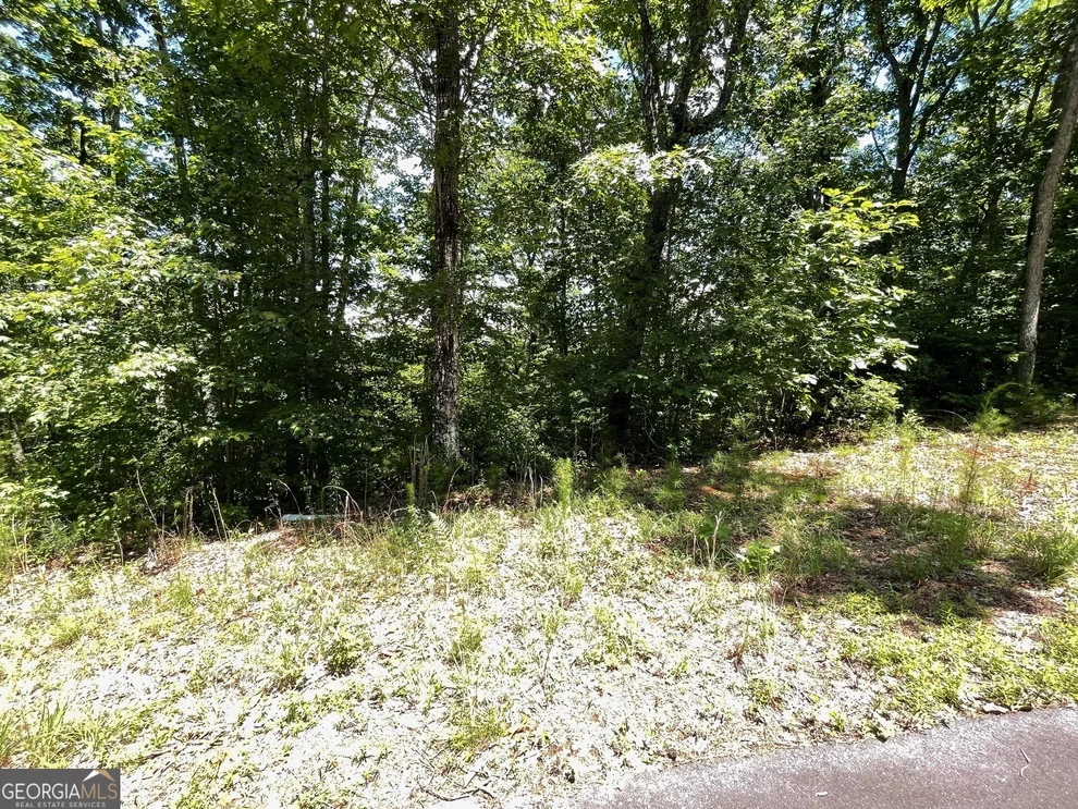 Unit for sale at LOT 20 Fodder Creek Mill Drive, Hiawassee, GA 30546