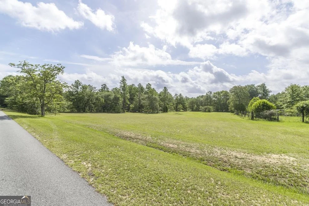 Unit for sale at 0 Georgia Road, Butler, GA 31006