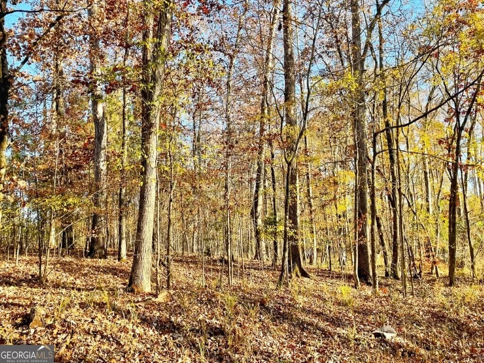 Unit for sale at 0 Fullerton-Phillips Road, Hillsboro, GA 31038