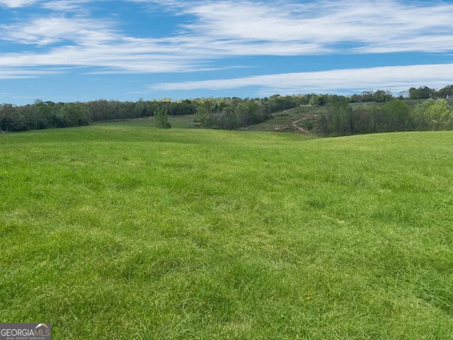 Unit for sale at 963 Gooseneck Road, Eastanollee, GA 30538