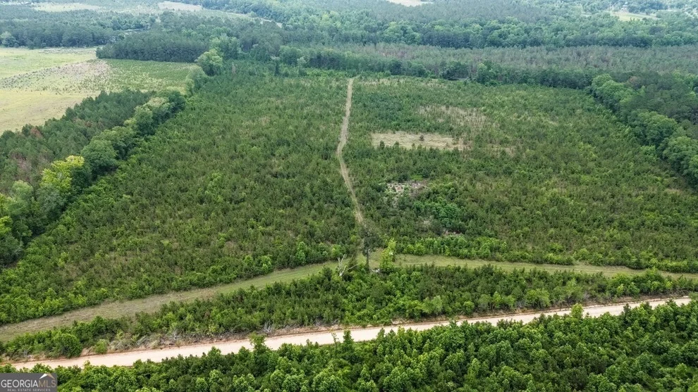 Unit for sale at 0 Adams Hammock Road, Lyons, GA 30436